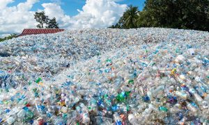 UBCO researchers investigate new use for plastic bottles